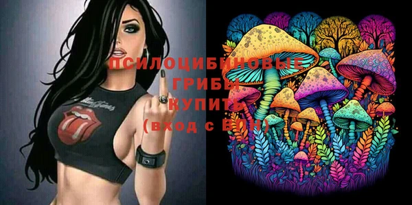 PSILOCYBIN Алексин