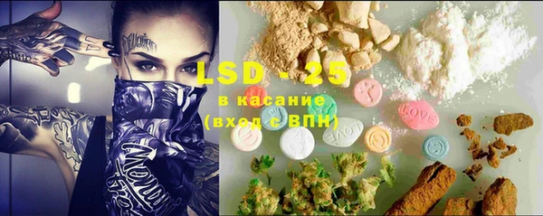 индика Пересвет