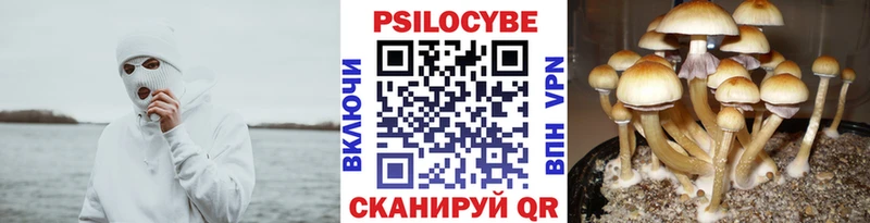 Галлюциногенные грибы ЛСД Всеволожск